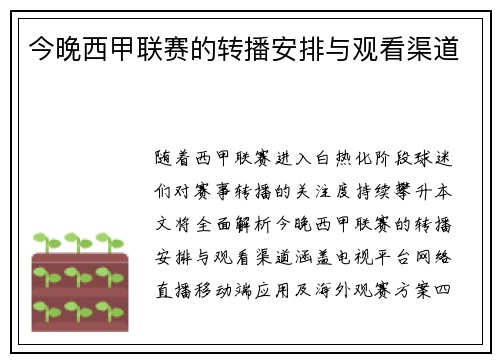 今晚西甲联赛的转播安排与观看渠道