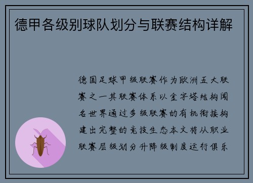 德甲各级别球队划分与联赛结构详解